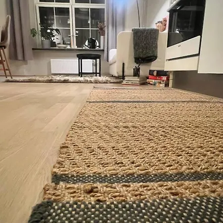 Koselig I Sentrum Av Med Byutsikt! Oslo