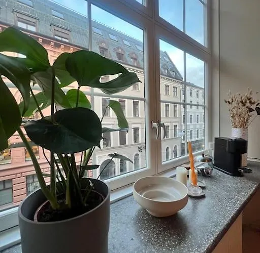 Koselig I Sentrum Av Med Byutsikt! Lejlighed Oslo