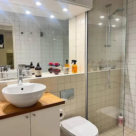 Koselig I Sentrum Av Med Byutsikt! Appartement Oslo